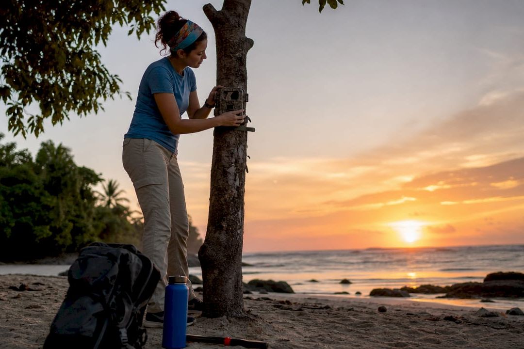 Volunteer setting up camera trap in forest