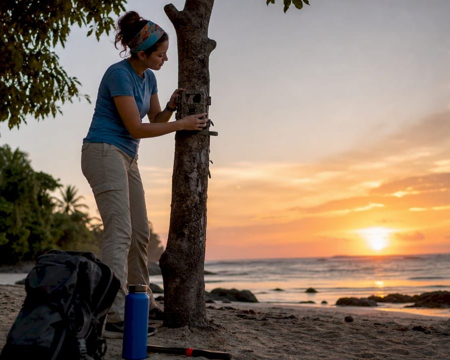 Volunteer setting up camera trap in forest
